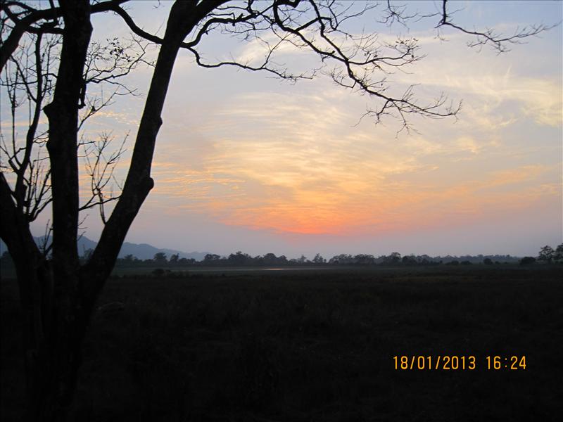 Sunset Amidst Rhinoceroses